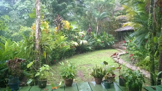 WP_20160110_002.jpg image