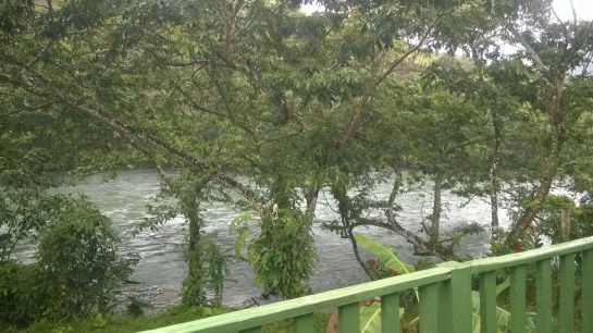 WP_20160110_003.jpg image